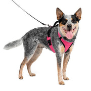 PetSafe WM-ESPH-M-PNK Easy Sport Harness, Medium - Pink