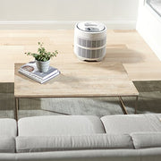 Honeywell 50250-S True HEPA Air Purifier, 390 sq. ft.