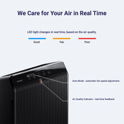 Winix 5510 Air Purifier, True HEPA Filter, Advanced Odor Control Carbon Filter, PlasmaWave Technology, Smart Sensors, Black