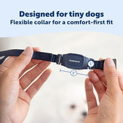 PetSafe NanoBark 2.0 Dog Training Collar for Small Dogs, Adjustable 4-15 in Neck, Waterproof, Rechargeable Battery, PBC00-18240