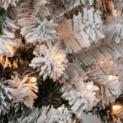 National Tree Company First Traditions 4.5 ft Acacia Medium Flocked Pre-Lit Artificial Christmas Tree with 100 Clear Incandescent Lights, Green, Includes Stand
