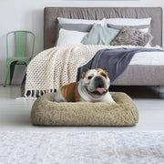 Vibrant Life Furry Cozy Bolster Pillow Dog Bed, Large, Oatmeal