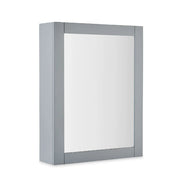 Mainstays Mirror Medicine Cabinet with Adjustable Shelves, Soft Silver Finish