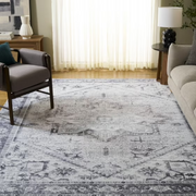 SAFAVIEH Arizona Rhine Oriental Machine Washable Area Rug, Beige/Gray, 8' x 10'