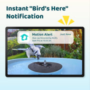 Birdfy Bird Bath Pro Outdoor Bird Bath Basin with Solar-Powered Fountain, Dual-Lens 1080P HD Camera, 20in Round Blue Hanging Design