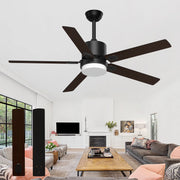 Skeven Ceiling Fans with Lights and Remote, 60 inch, Black