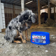 Farm Innovators Heated Pet Water Bowl, 60 Watt, Advanced Thermostatic Control, Blue, 1.5 Gallon Capacity, Large Dogs and Cats, P-60B