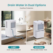 CONCETTA AS-CSJ72XK 30 Pint Dehumidifier for Basement and Large Rooms, 70 oz Water Tank, with Pump