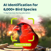 Birdfy Bamboo Smart Bird Feeder with Camera, Solar Powered, 1080P HD Video, Full-Color Night Vision, Dual Seed Bin, Large Capacity, NIWM-4829