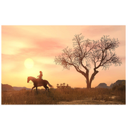 Rockstar Games Red Dead Redemption (PlayStation 4)