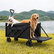 Favoyard Collapsible Wagon, 300lb Capacity, Extended Tailgate, All-Terrain 360 Wheels, Adjustable Handle, Drink Holders, Black, 100L