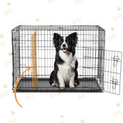 EDX DOGC-48S 48 Inch Double Door Folding Metal Wire Dog Cage with Plastic Leak-Proof Pan Tray