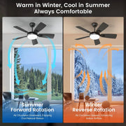 BLITZWILL 2834 Ceiling Fans with Lights and Remote 42