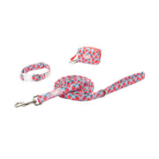 Oodles Dog Walking 3 Piece Set with Adjustable Collar, Leash, Waste Bag Dispenser, Purple Strawberry Print, Medium