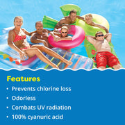 All Chem Industries In The Swim Pool Stabilizer 100% Cyanuric Acid Chlorine Protection 45 lb U081045045AE