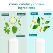 Ripple Nicotine Free Diffuser Set, Mint Blend with Peppermint and Spearmint Aromas, 4 Pack, 4,000 Puffs MAX MINT SET