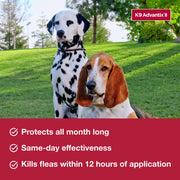 K9 Advantix II Flea and Tick Treatment for Small Dogs, 1-Pack