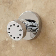 Signature Hardware 350719 Classic Swivel Body Spray - Chrome