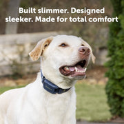 PetSafe Pro Dog Trainer Dog Training Collar with Remote, Waterproof, 1000 ft Range, Tone, Vibration, 19 Static Levels, Adjustable Fit PDT00-18038