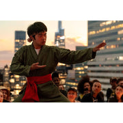 Sony Pictures Home Entertainment Karate Kid Legends DVD, Martial Arts Action Adventure, Subtitled, PG-13, 94 Minutes, NTSC
