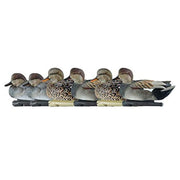 Avian-X Topflight Gadwalls Duck Decoy Pack