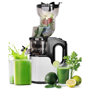 Casualife Cold Press Masticating Juicer, 800W Motor, 5.4-Inch Wide Feed Chute, 2 Speeds, Black