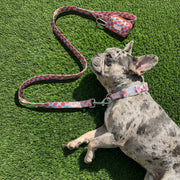 Oodles Dog Walking 3 Piece Set with Adjustable Collar, Leash, Waste Bag Dispenser, Purple Strawberry Print, Medium