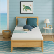 Atlas Mattress 6-Inch Twin Memory Foam Mattress, Gel-Infused, Medium Firm, Washable Cover, CertiPUR-US DM510-T