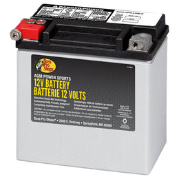 Bass Pro Shops XPS AGM Power Series 12-Volt ATV Battery - 220 CCA @ 12 Amp