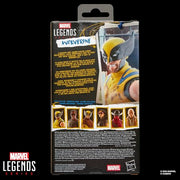 Hasbro Marvel Legends Series Wolverine 6-Inch Action Figure with Battle-Damaged Sleeveless Suit and 3 Accessories 94744356
