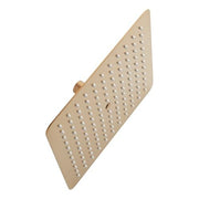 Signature Hardware Contemporary Rain Shower Head, 2.5 GPM, Single Function, Brushed Gold, 10 in