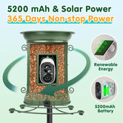 NixiYa Smart Bird Feeder with 2K Camera, Bird Bath, Solar Powered, AI Bird Identification, App Notifications, Green