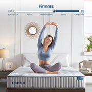 Lechepus Cal King Mattress, 10 inch Hybrid Foam Mattresses in a Box, Pocket Innersprings with Memory Foam