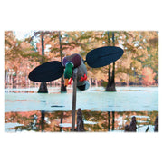 Mojo Outdoors HW2533 Mallard Drake Motion Duck Decoy