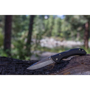 Buck Knives BU0284BKS-5759 284 Bantam BBW Folding EDC Knife, 2-3/4