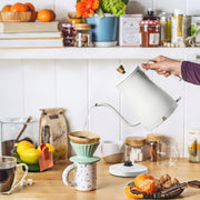 Beautiful by Drew Barrymore 19279 1.0L Electric Gooseneck Kettle, White Icing