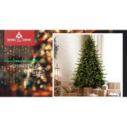 National Tree Company First Traditions 4.5 ft Acacia Medium Flocked Pre-Lit Artificial Christmas Tree with 100 Clear Incandescent Lights, Green, Includes Stand