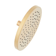 Signature Hardware 476850 1.8 GPM Single Function Rain Shower Head, Brushed Gold