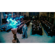 Warner Bros. Harry Potter: The Complete 8-Film Collection (DVD)