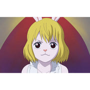 SPHE One Piece Anime Bundle 34-35, Episodes 819-866, Blu-ray and DVD, 1080p HD, English Dub and Subtitles