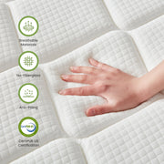 Edx 12 Inch TwinXL Memory Foam Hybrid Innerspring Mattress with Individually Pocketed Springs, Medium Comfort Pillow Top