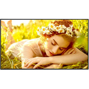 LG UL5Q-M 43 in 4K UHD Digital Signage Commercial VA LCD Display, Blue Gray