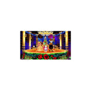 Bandai Namco Disney Magical World 2: Enchanted (Nintendo Switch)