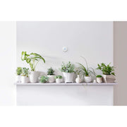 Google T4002ES Nest Thermostat E Programmable Smart Thermostat for Home, App Controlled via Wi-Fi, Frosted White