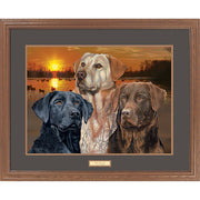 Wild Wings EPR8306856 Sunset Trio Labs Framed Print by Scot Storm