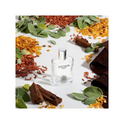 Stetson Spirit Cologne Spray For Men, 1.7 oz