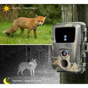 SuntekCam MINI600  Trail Cameras 4 Pack, Waterproof Night Vision, 20MP Photo, 1080P Video, Includes 32GB Micro SD Cards, MINI600