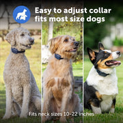 PetSafe Pro Dog Trainer Dog Training Collar with Remote, Waterproof, 1000 ft Range, Tone, Vibration, 19 Static Levels, Adjustable Fit PDT00-18038
