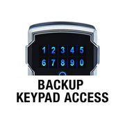 Master Lock 5441DHC Bluetooth Wall Mount w/Backup Keypad Entry Black & Silver