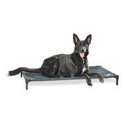 Coolaroo 507886 Pet Bed Pro Large Pacific Crest Blue HeatShield